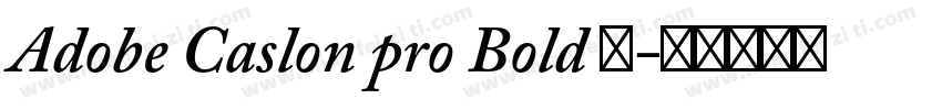 Adobe Caslon pro Bold 粗字体转换